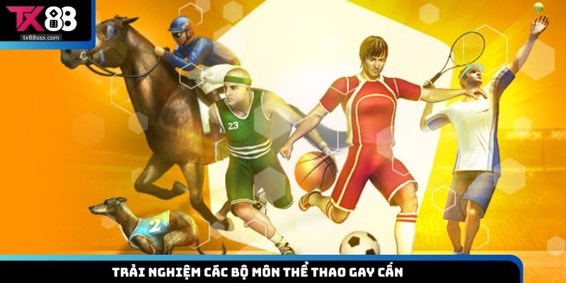 Trải nghiệm các bộ môn thể thao gay cấn